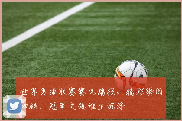 世界男排联赛赛况播报,精彩瞬间回顾,冠军之路谁主沉浮