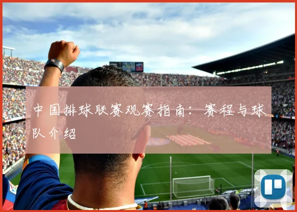 中国排球联赛观赛指南：赛程与球队介绍