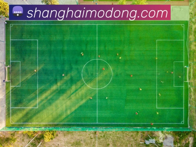 世界杯官网APP 封面图
